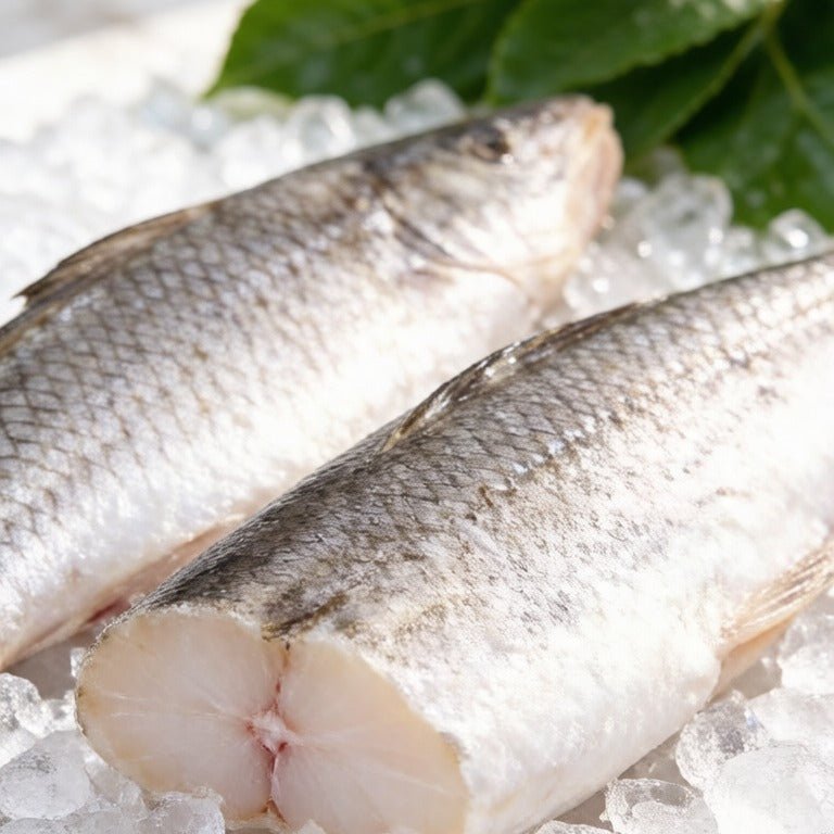 Alaska pollock fillets - steamed